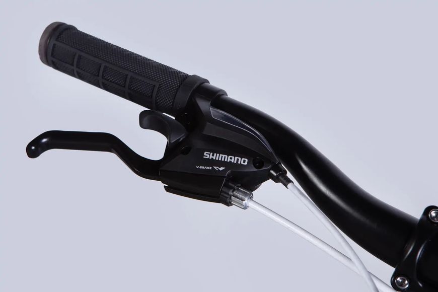 Велосипед AL 24" Formula BLACKWOOD 1.0 DD FR рама-12,5" синьо-сріблястий 2025 фото