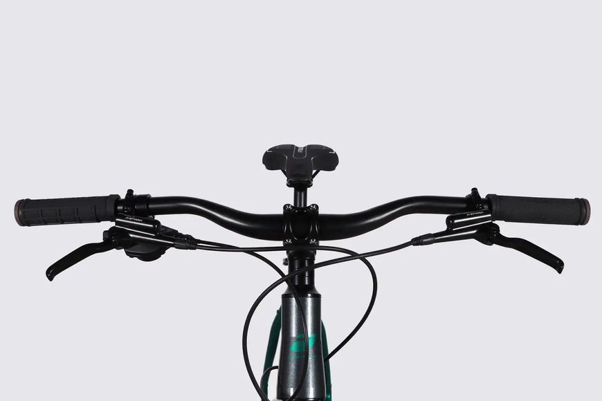 Велосипед AL 29" Formula ZEPHYR 1.0 HDD рама-21" темно-сріблястий з зеленим 2026 фото