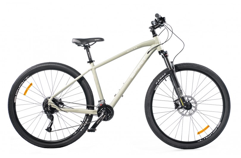 Велосипед Spirit Echo 9.3 29", рама M, сірий, 2021
